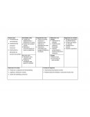 Modelo CANVAS LATAM Airlines