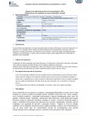 Informe de la aplicación práctica de los aprendizajes (APE) (Elaborada por los estudiantes de manera individual o grupal)