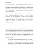 Diseño óptimo de biorreactores para fermentación vInícola