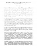 Fast Fashion en Colombia: consumo responsable y la innovación sostenible de Lafayette