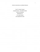 Informe estructuras metalicas