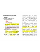 Resumen Psicología social. Freud