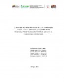 Extracción de hidróxido de potasio a partir de cenizas de manteco (Byrsonima crassyfolia)