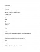 Proceso de planificación y control de utilidades en empresas