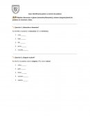 Guía: Identificamos género y número de palabras