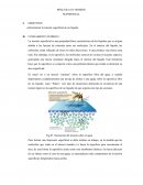 Práctica 03 Tensión superficial