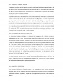 Tarea laboral contrato colectivo. Vigencia y plazo de revisión