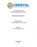 Observación naturalista