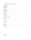 Informe sobre fundamentos de suelo