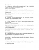 Resumen ejecutivo Birria