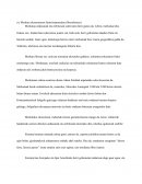 Merkatu ekonomiaren funtzionamendua (liberalismoa)