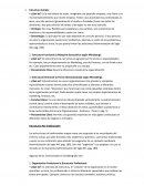 Estructuras organizacionales: Tradicional vs. No Tradicional