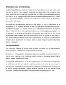 Epidemiologia Otitis. Cuadro clínico