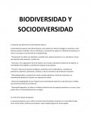 Biodiversidad y sociodiversidad. Patrones que determinan la diversidad de especies