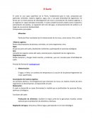 El Suelo. Componentes principales