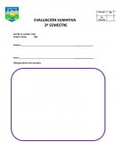Prueba sumativa 2° Semestre