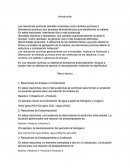 Reporte de laboratorio de química sobre tipos de reacciones
