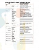 Registro diario. Observaciones / Estado anímico