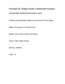 Análisis de la película El Cisne Negro