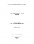 Caso: Condena por homicidio en Guamal (meta)