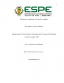 Fundamentos conceptuales de la gestión estratégica