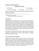 Revision de caso Psicologia