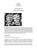 Reflexiones y narrativas de la formación docente