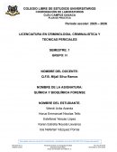 Práctica: Reacciones de los metales