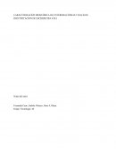 Caracterización bioquímica de enterobacterias y bacilos: identificación de escherichia coli