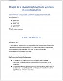 Sujeto pedagogico del nivel inicial y primario en contextos diversos