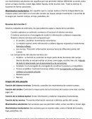 La importancia del sistema nervioso y sus componentes