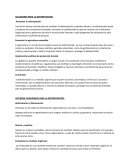 Solusiones para la deforestacion