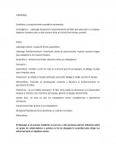 Liderazgo. Cualidaes y comportamiento