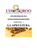 Sistemas de produccion agroecologicos