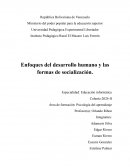Enfoques del desarrollo humano y las formas de socialización