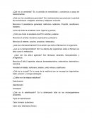 Anestesia ¿Qué son los anestésicos generales?