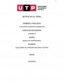 MYPES de Perú: Crecimiento, Ley y Reforma Institucional ante la crisis