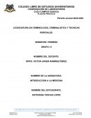 Plan de práctica. Posición anatómica