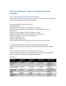 Etapa de planeamiento - Papeles de trabajo de auditoría tributaria