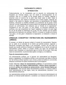 Lenguaje, conceptos y estructura del razonamiento jurídico