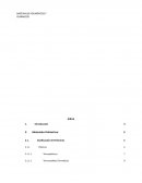 Materiales polimericos y compuestos