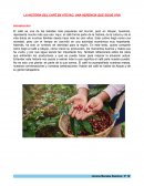 Historia del café en Atoyac: una herencia que sigue viva