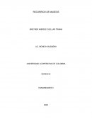 Analisis de la obra Guitarra