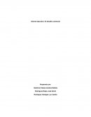 Informe ejecutivo: El desafío comercial. Empresa productora de miel de Quillay