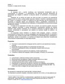 Plan de clases Lengua 1° grado