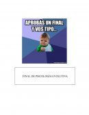 Resumen: La psicología y la psicología del desarrollo