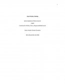 Caso practico. Boeing