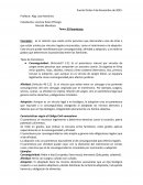 El parentesco. Tipos de parentesco