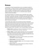 Biomasa en México: estado actual y oportunidades energéticas