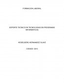 Formacion laboral Soporte tecnico en tecnologias en programas informaticos